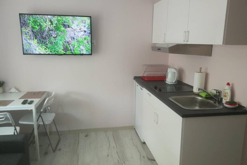 T&J Appartments Ferry Terminal Клайпеда Екстериор снимка